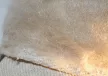 Cerva Firefinch téli munkavédelmi kesztyű
